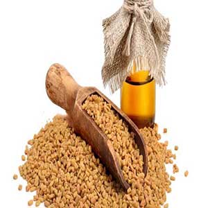 روغن شنبلیله